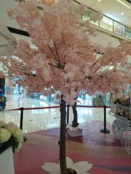 -万达宝贝王(桂林叠彩店)
