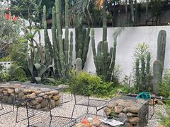 -自由生长植物工作室(深港花卉中心店)