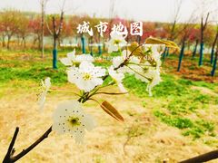 -江苏三台山国家森林公园
