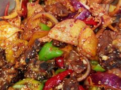 -尕胡才炕锅烤羊肉馆(八一路店)