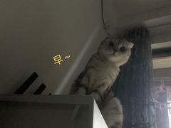 -宝岛眼镜·星创视光中心(中泰店)