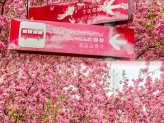 -北京奥林匹克公园