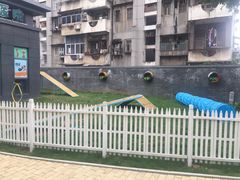 -奈斯宠物医院·核磁CT·异宠专科·内镜(中南店)