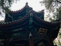 -颐和园