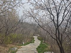 -北京周口店北京人遗址博物馆