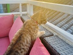 -EATALIA意塔利意式餐厅(鼓楼店)