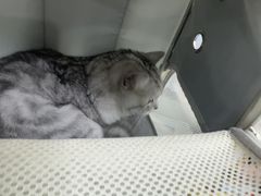-博特宠物医院24h犬猫全科.骨科·异宠