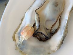 -港畔赶海蒸汽海鲜烧烤自助(仙螺岛店)