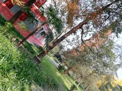 -四川大学(望江校区)