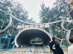 -枫花园汽车电影院(朝阳公园店)