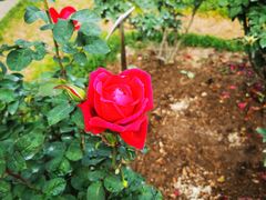 -人民公园(罗湖区)