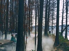 -东湖落雁景区