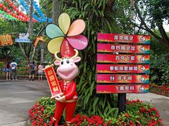 -广州长隆飞鸟乐园