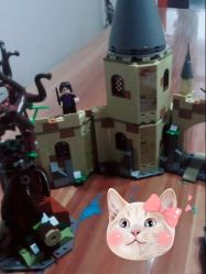 -kidsland凯知乐(高新万达广场店)