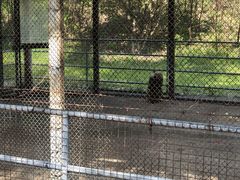 -祥源·阜阳生态乐园