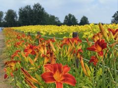 -汉长安城未央宫国家考古遗址公园