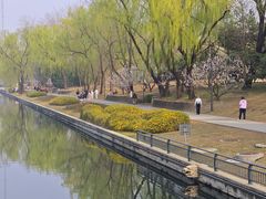 -元大都城垣遗址公园