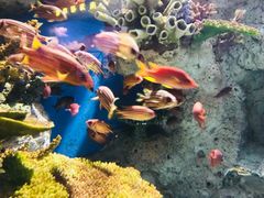 -福州罗源湾海洋世界旅游区