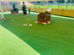 -萌宠亲子动物乐园(槐房万达店)