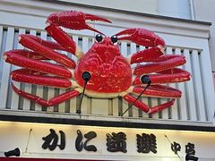 -蟹道乐(道顿堀本店)