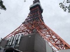 -东京塔海贼王主题公园