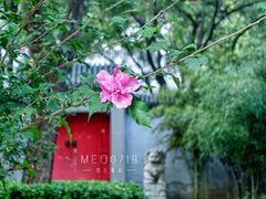 -玲珑塔公园