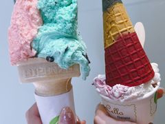 -柠檬车露(卖草地店)