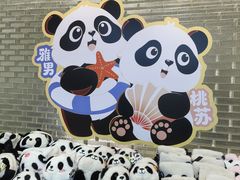 -秦皇岛野生动物园