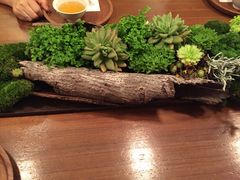 -微热山丘(台北民生公园门市店)