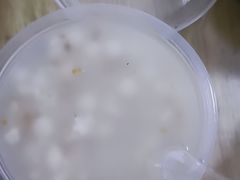 -潘玉麟糖粥