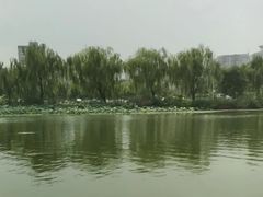 -WhaleSports户外水上运动俱乐部(朝阳公园店)
