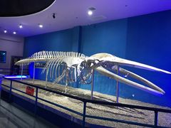 -福州罗源湾海洋世界旅游区