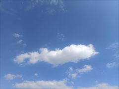 -湘西小馆(滨河路店)