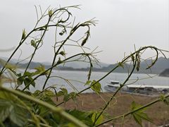 -北京金海湖景区