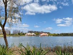 -上海长兴岛郊野公园