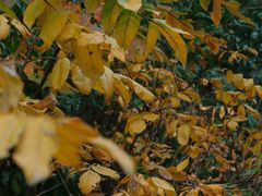 -南京市无想山景区