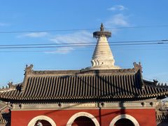 -杏园餐厅(阜成门店)