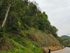-团城山公园