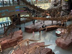 -安徽省地质博物馆