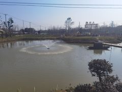 -大队长大灶鹅