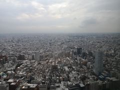 -东京都厅舍