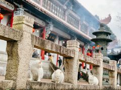 -九华山风景区