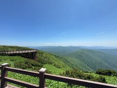 -凤凰山国家森林公园