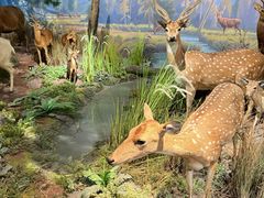 -陕西自然博物馆