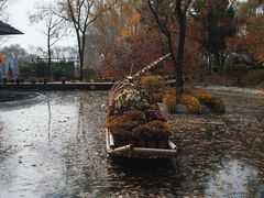 -沈阳植物园