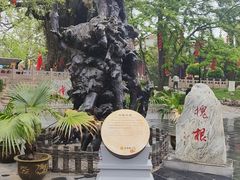 -大槐树寻根祭祖园