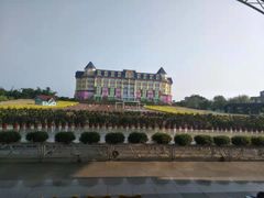-百万葵园