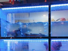 -云中鱼蒸汽石锅鱼(川沙百联店)