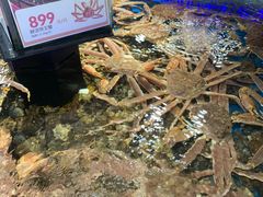 -盒马鲜生(岭南新世界店)