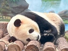 -杭州动物园